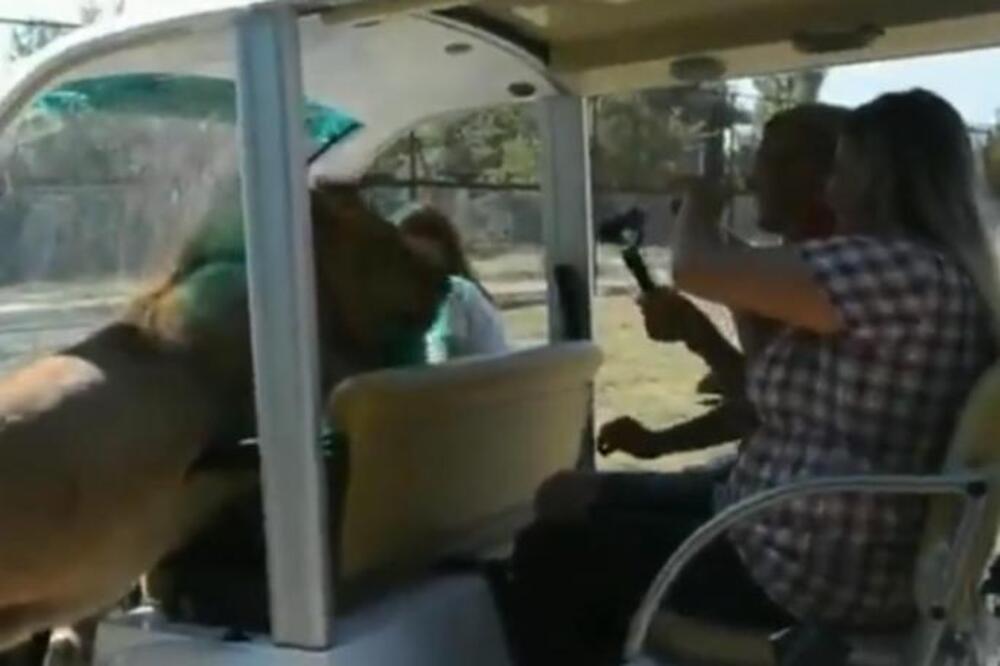 VOZILI SU SE U KOLIMA KADA SU SRELI SMRTONOSNU NEMAN: NAstao je momentalan muk, a onda su se sledili u mestu