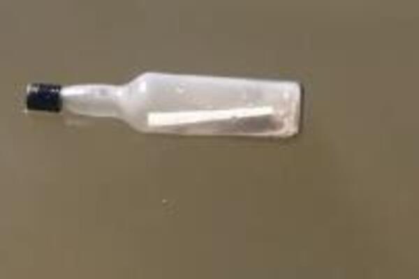 NAŠLI PORUKU U BOCI, PA SE ŽIVI PREZNOJILI: Ono što su tamo pročitali liči na TESTAMENT, naježićete se