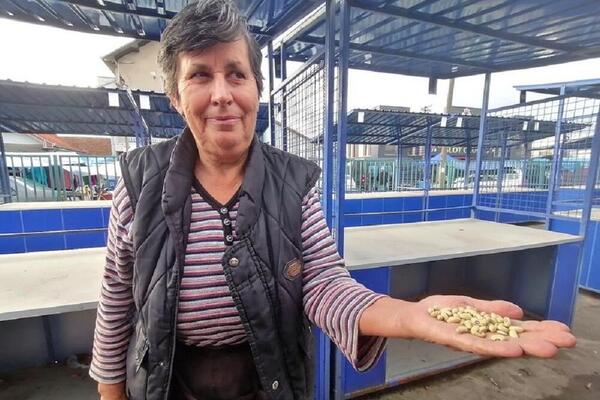 KILOGRAM OVOG PASULJA KOŠTA 1.000 DINARA! Rada je seme nasledila od svekrve i ODLIČNO ZARAĐUJE: "Vredi svaku paru"