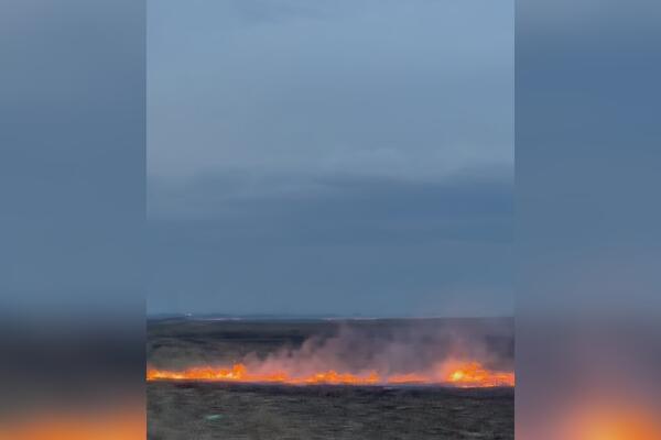 POŽAR ZAHVATIO LIVADU KOD VRŠCA: Vatra NEKONTROLISANO guta zemljište, vatrogasci na terenu (FOTO)