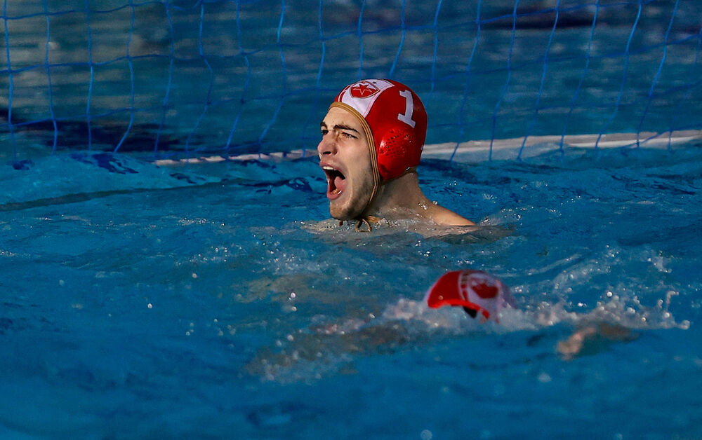 Vladimir Mišović, golman Crvene zvezde