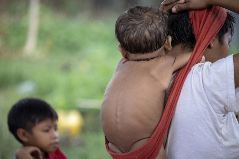 Pleme Janomami, Pleme