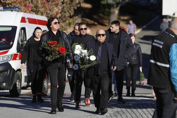 OVO ĆE RASPLAKATI I NAJTVRĐA SRCA: Sestra POKOJNOG ALEKSANDRA sa njegovom SLIKOM, veliki GUBITAK