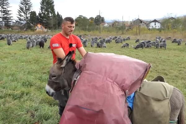 "BEZ SELJAKA NEMA ŽIVOTA..." Braća iz Bosne žive kao NOMADI, za Nemačku neće ni da ČUJU, evo i ZAŠTO (VIDEO)