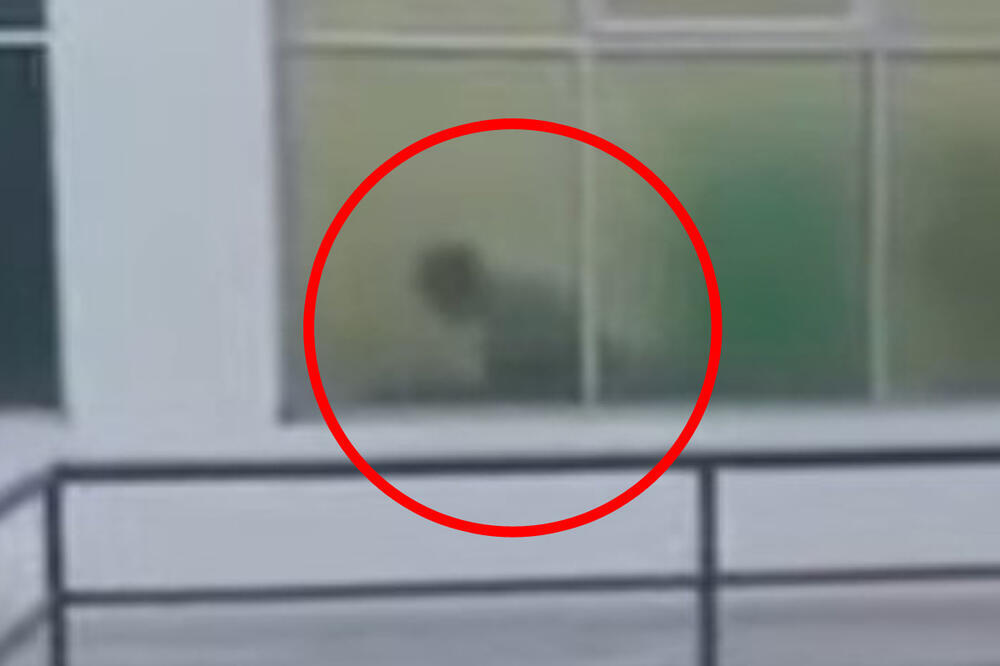 Divlji intimni odnosi nasred raskrsnice: Toliko su se napalili, da nisu marili za prolaznike! (FOTO)