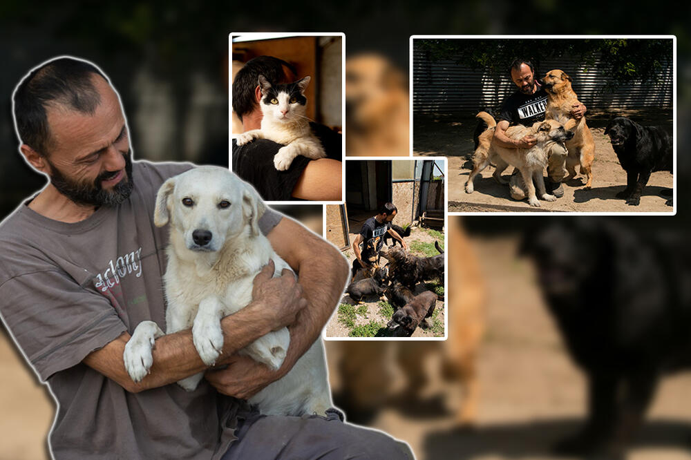 BRANIMIR ČUVA "OTPISANE" KUCE I MACE NA SVOM SALAŠU: Prava je LJUDINA i ima veoma VAŽAN APEL! (FOTO)
