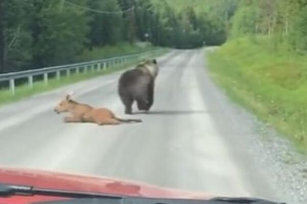 VOZIO JE AUTOMOBIL, A ONDA NA PUTU VIDEO MLADUNČE LOSA: Odmah je IZAŠAO, a ono što je uradio sa NJIM JE... (VIDEO)
