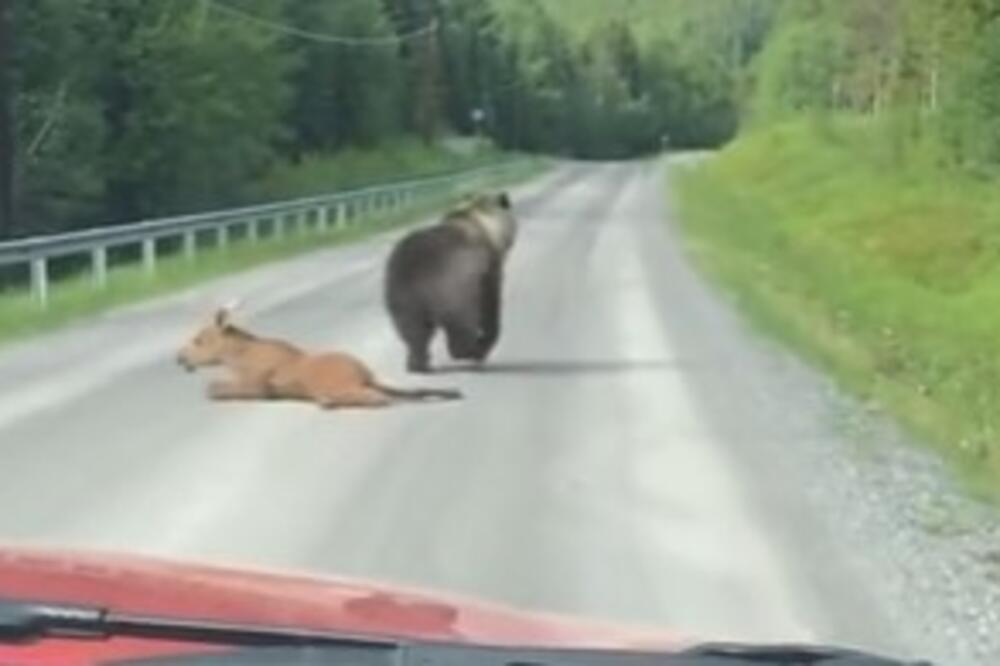 VOZIO JE AUTOMOBIL, A ONDA NA PUTU VIDEO MLADUNČE LOSA: Odmah je IZAŠAO, a ono što je uradio sa NJIM JE... (VIDEO)