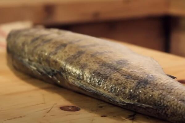 ŠEF BEOGRADSKOG RESTORANA OTKRIO KAKO SE PRAVI NAJBOLJI SMUĐ: Ove SASTOJKE samo on zna, voda će se SLIVATI niz usta