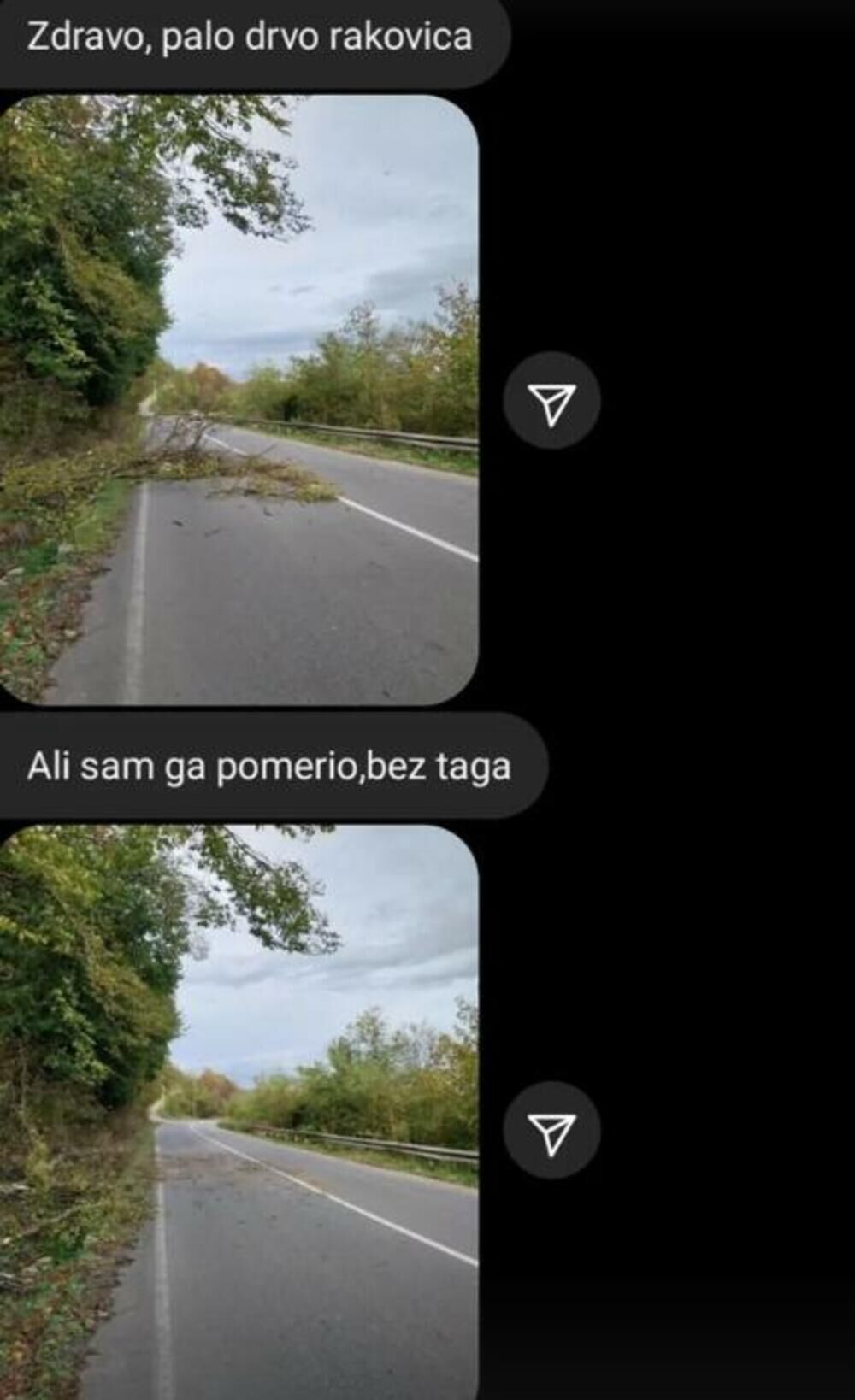 Drvo palo u Rakovici