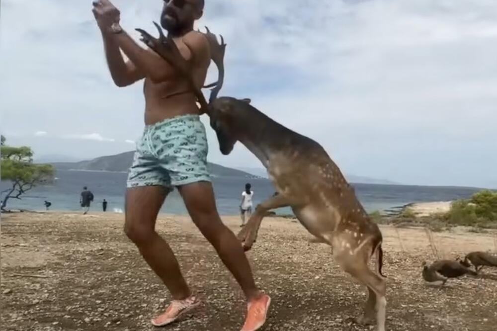 GORKO ZAŽALIO ZBOG SELFIJA: Pogledajte šta se desilo ovom čoveku, nije se nadao ROGOVIMA (VIDEO)
