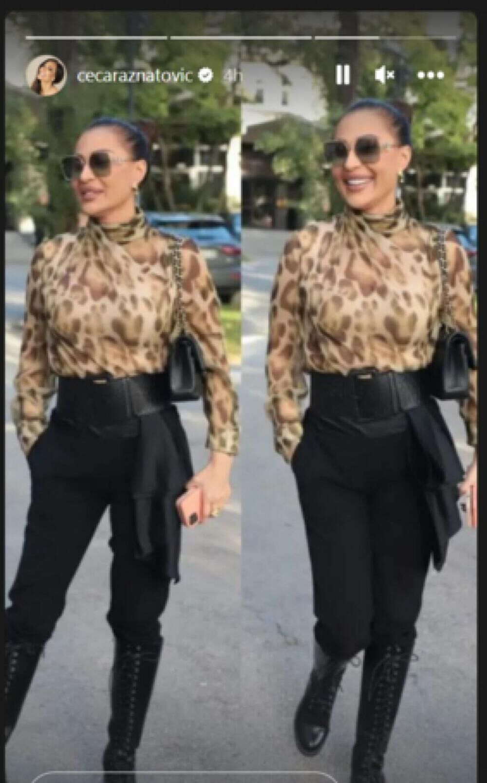 Ceca Ražnatović kao mačak u čizmama