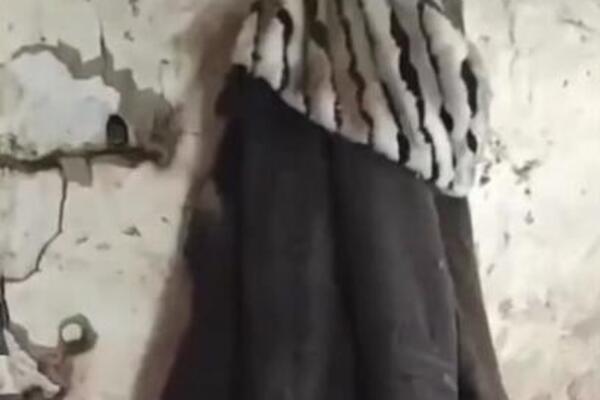 POMERIO JE KAPUT NA ČIVILUKU PA JE DOŽIVEO HOROR: Iz njega je izletelo na STOTINE OVIH STVORENJA preplavili su kuću