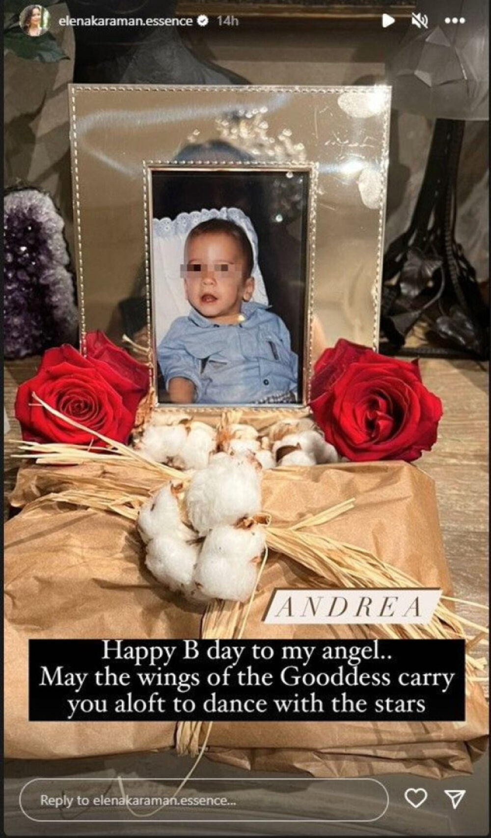 Elena Karaman je u junu 2009. godine doživela tešku nesreću, kada je preminuo njen sin Andrej