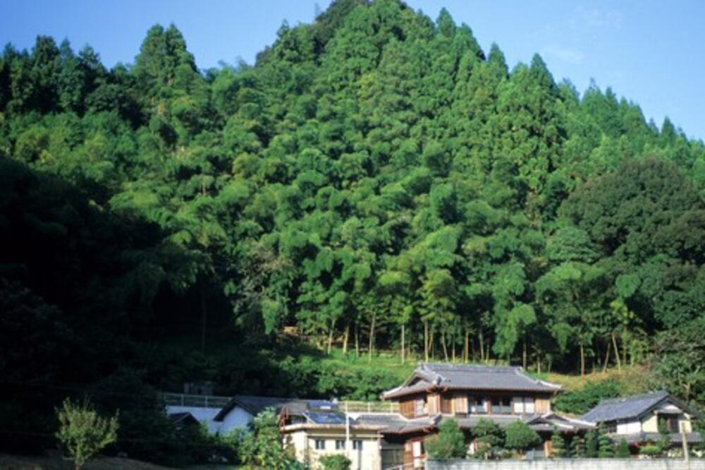 AKO ŽELITE DA POSETITE JAPAN KOJI JE NEKADA PRIPADAO SAMURAJIMA I GEJŠAMA OVO MESTO JE PRAVI IZBOR: Zastaće vam DAH