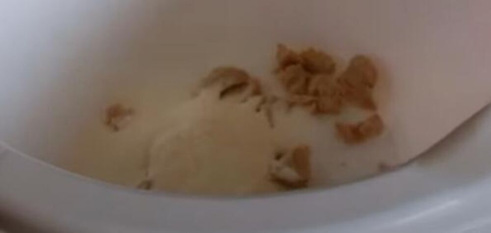 Kvasac i šećer u činiji