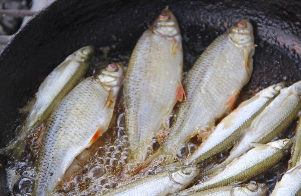 Doktor otkrio kog dana se ne jede riba