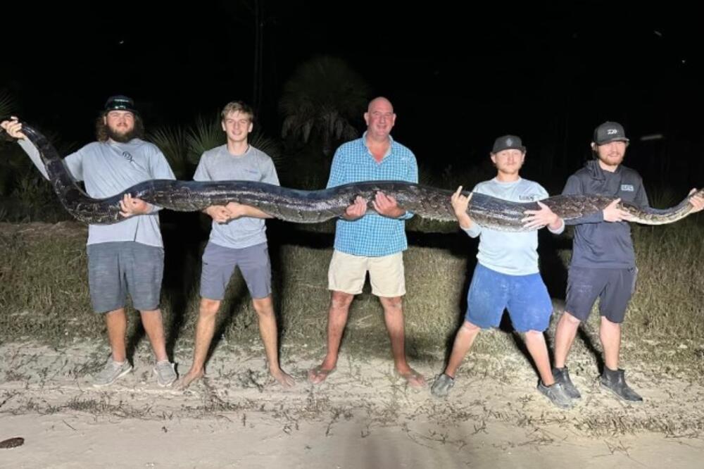 "PRVO SMO MISLILI DA JE...": Ulovili su DŽINOVSKU ZMIJU, ovako nešto JOŠ NISTE VIDELI (FOTO)