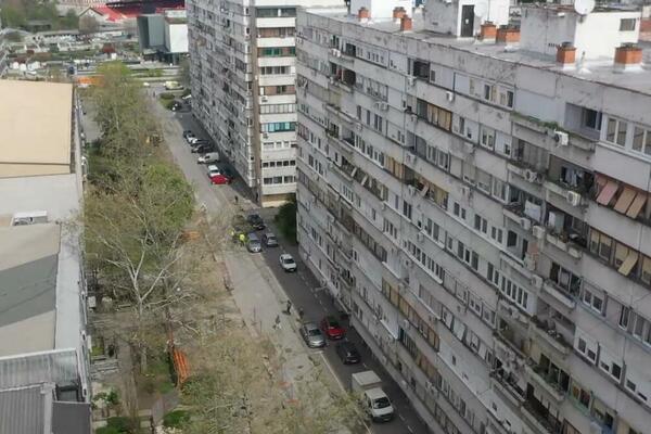 ŠEST MESECI SE RADILO NA TOME: Vredelo je mnogih odricanja