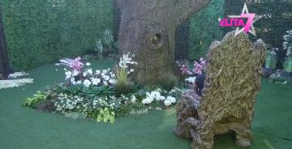 Bebica o odnosu sa Teodorom Delić