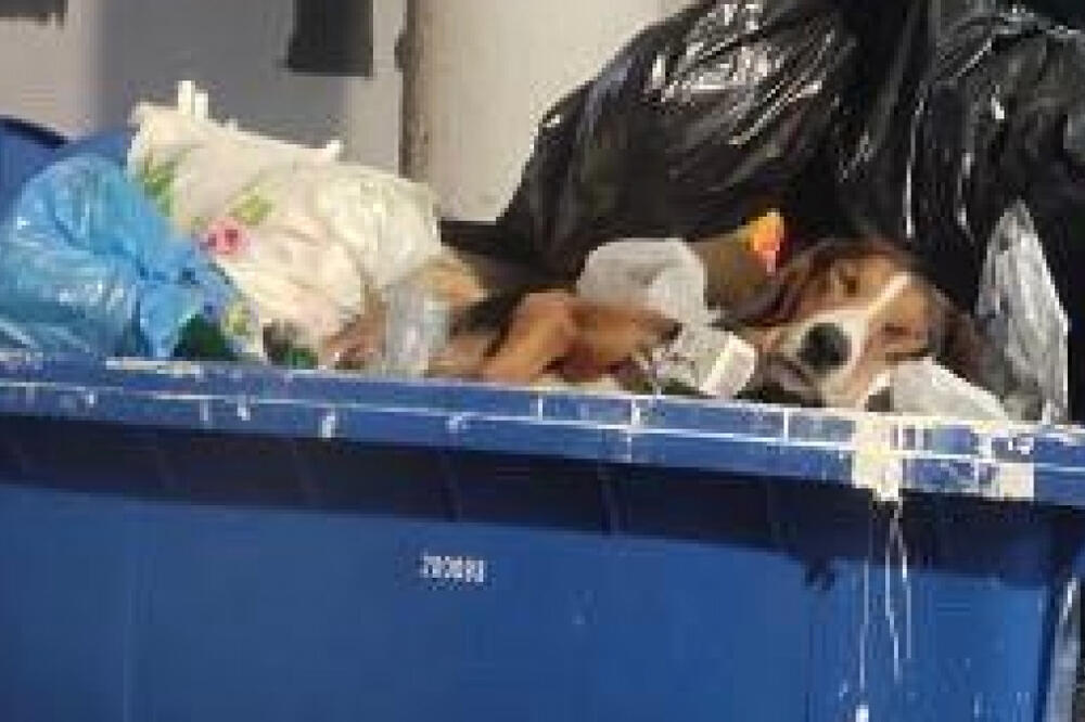 SLIKA IZ UŽICA RASPLAKALA LJUDE ŠIROM BALKANA: "Ovo je da ti srce PUKNE!" (FOTO)