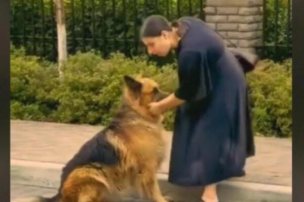 ŠTENE NEMAČKOG OVČARA OČAJNO TRČALO ZA VLASNICOM: Ono što je usledilo nakon toga, ljudima je rasparalo srce (VIDEO)
