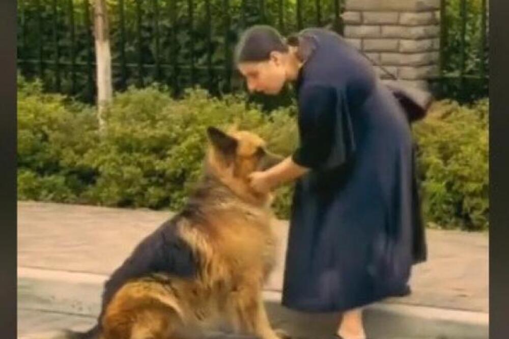 ŠTENE NEMAČKOG OVČARA OČAJNO TRČALO ZA VLASNICOM: Ono što je usledilo nakon toga, ljudima je rasparalo srce (VIDEO)