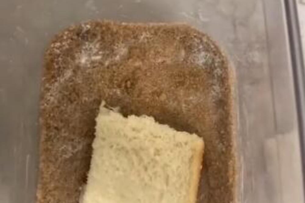 STAVILA PARČE HLEBA U OVO, KAD SE PROBUDILA NIJE MOGLA DA VERUJE: Bukvalno joj je svaka DOMAĆICA zahvalna (VIDEO)