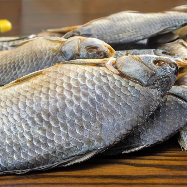 Ovo je najzdravija riba na svetu! Jeftinija je od lososa, kad čujete koliko je dobra ješćete je bar jednom nedeljno