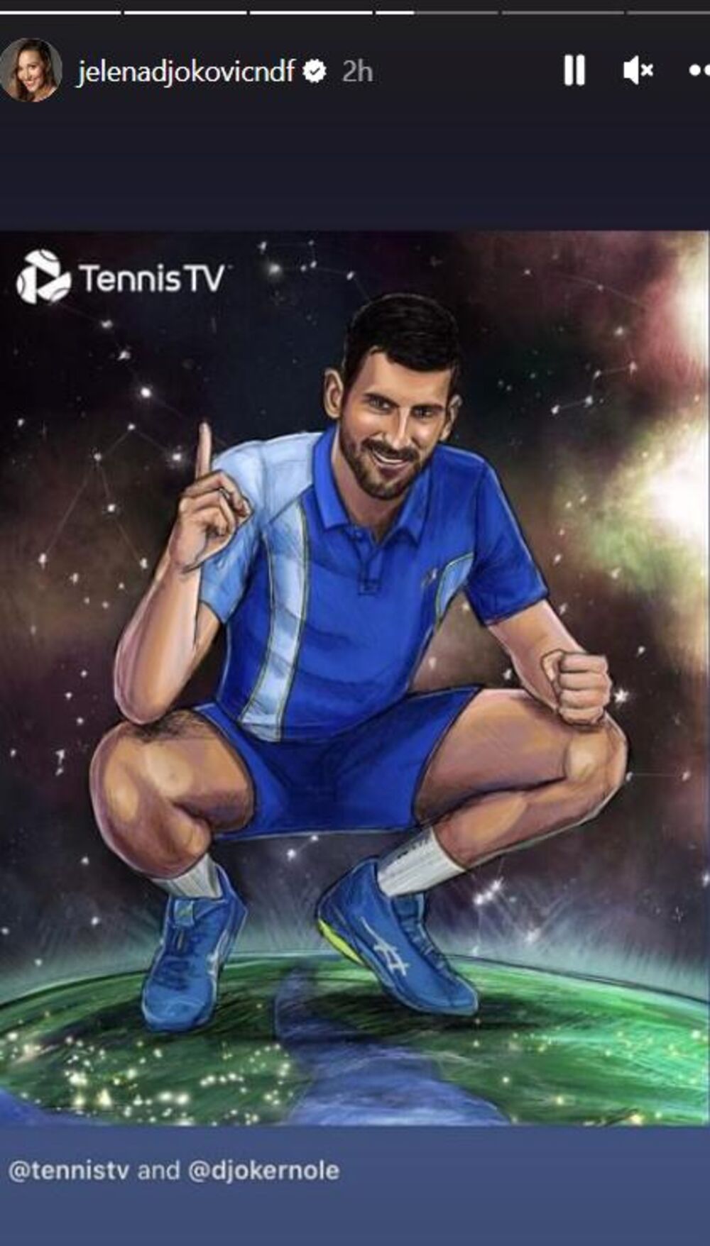 Objava Jelena Đoković