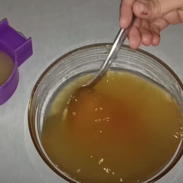 Peteljke od ovog voća bacate u đubre, a bake su ih čuvale kao zlato: Jedna šolja čaja smiruje bubrege i kolena