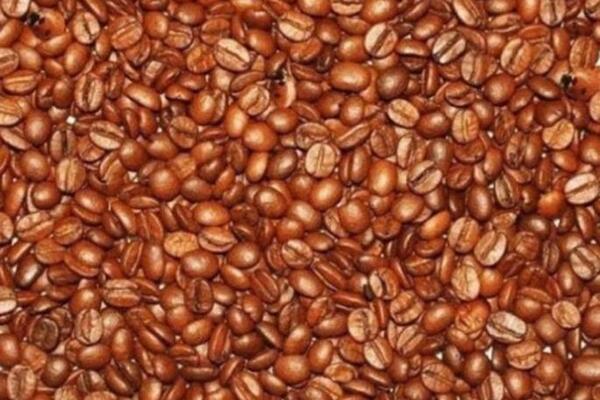 JAKO MALI BROJ LJUDI MOŽE NAĆI 6 DETALJA MEĐU ZRNIMA KAFE: Imate 20 sekundi, proverite svoiju koncentraciju