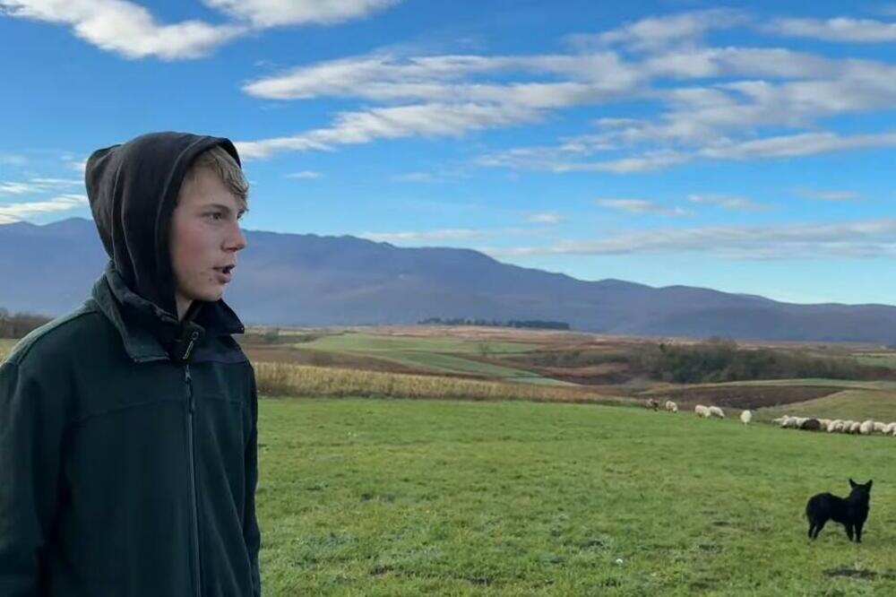 DEVOJKA GA OSTAVILA ZBOG OVACA: Tek mu je 16 godina, a već je sam svoj gazda, SINJU ne bi prodao ni za šta (VIDEO)