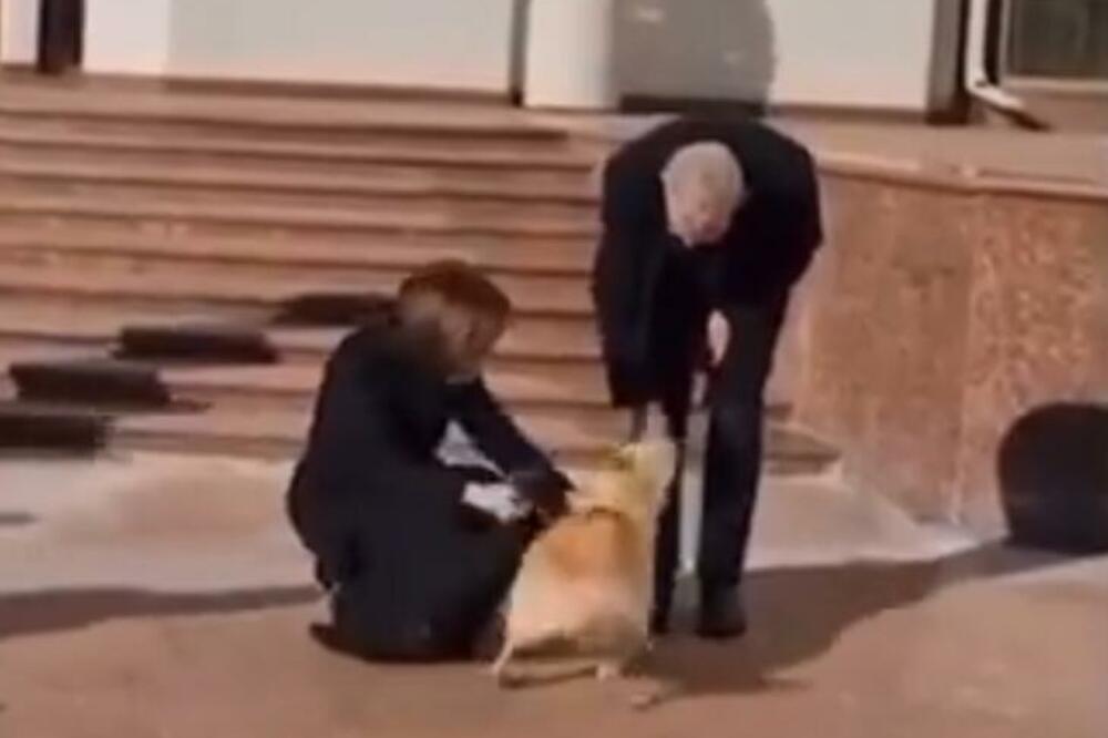 PAS MOLDAVSKE PREDSEDNICE UGRIZAO PREDSEDNIKA AUSTRIJE ZA RUKU: Snimak NEOBIČNOG INCIDENTA obišao svet! (VIDEO)