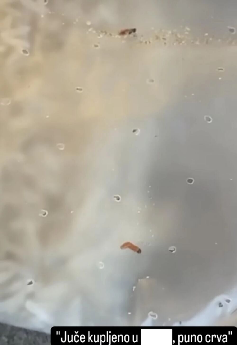 Slika crva u proizvodu