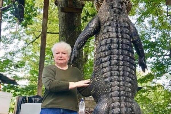 LIKVIDIRALA GA PROFESIONALNO: Baka savladala aligatora teškog 260 KG, ali to nije SVE, evo kako je ubila NEMAN