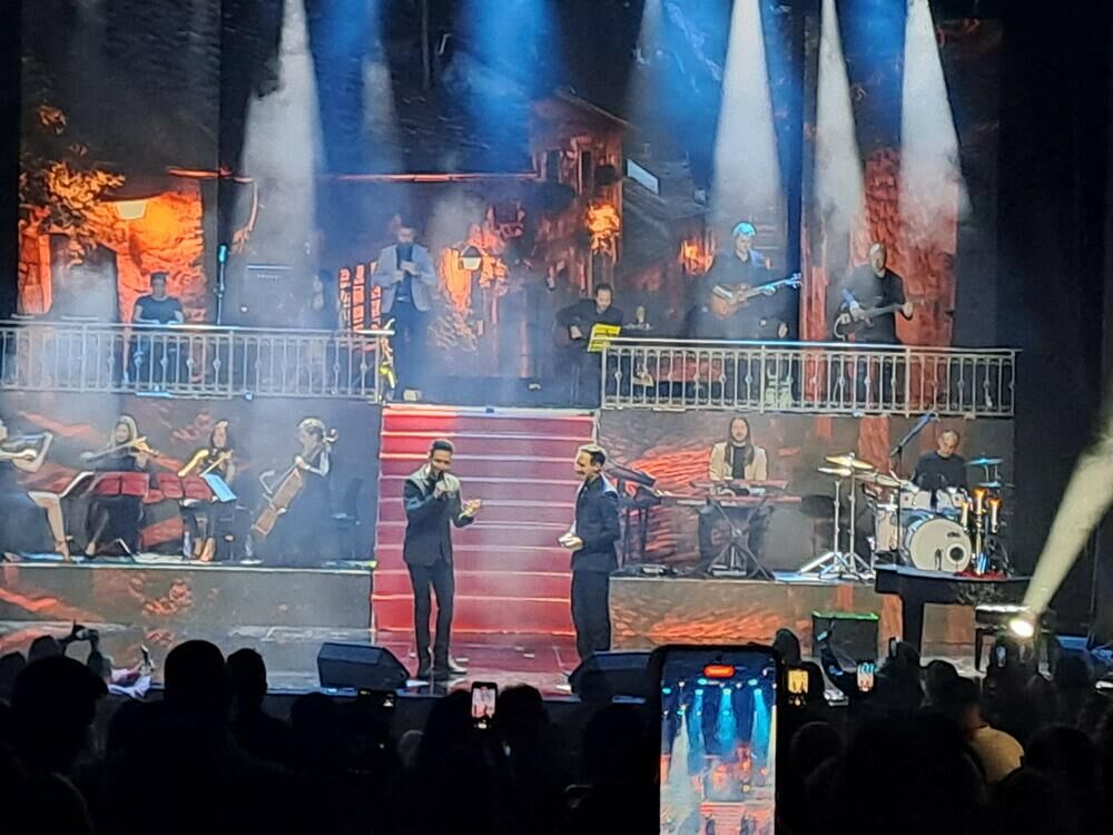 U kakvim su odnosima Peđa i Nenad Blizanac?