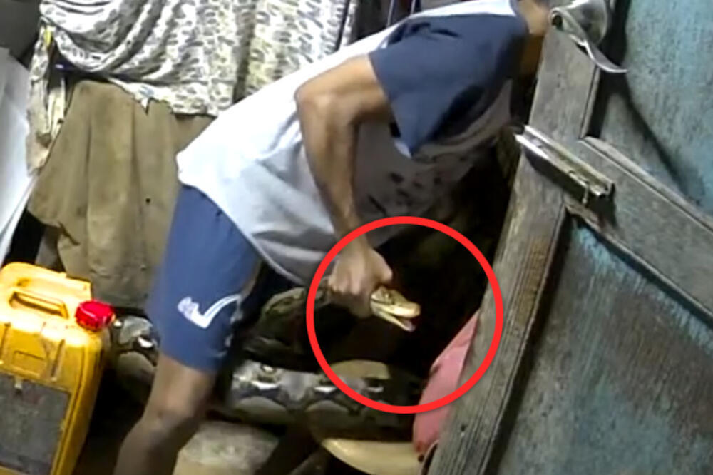 OGROMNI PITON NAPAO MAČKU: Vlasnik dotrčao u POMOĆ, a onda počela OČAJNIČKA BORBA! (UZNEMIRUJUĆI VIDEO)