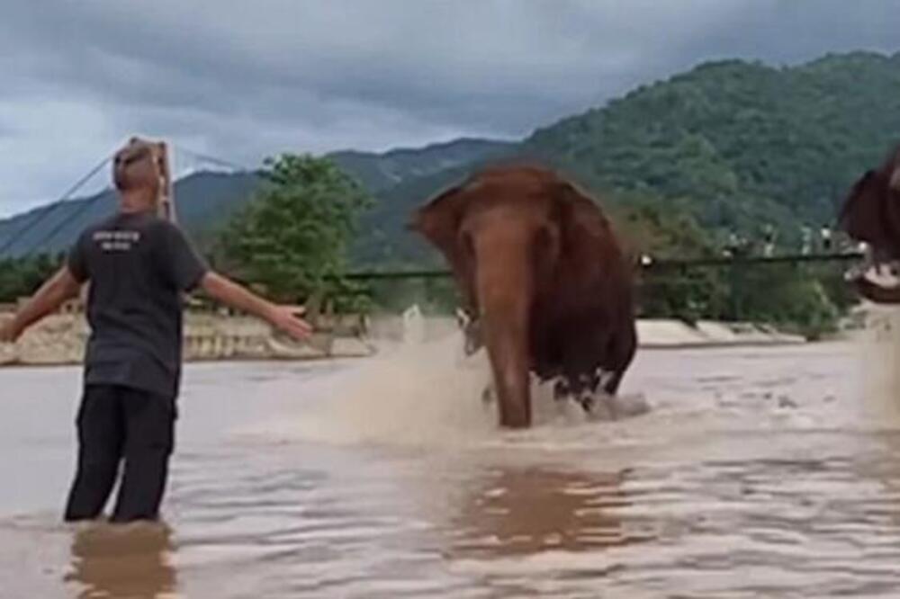 STAJAO JE U VODI KADA SU SLONOVI KRENULI NA NJEGA: Ljudi preplašeno gledali video, a onda... (VIDEO)