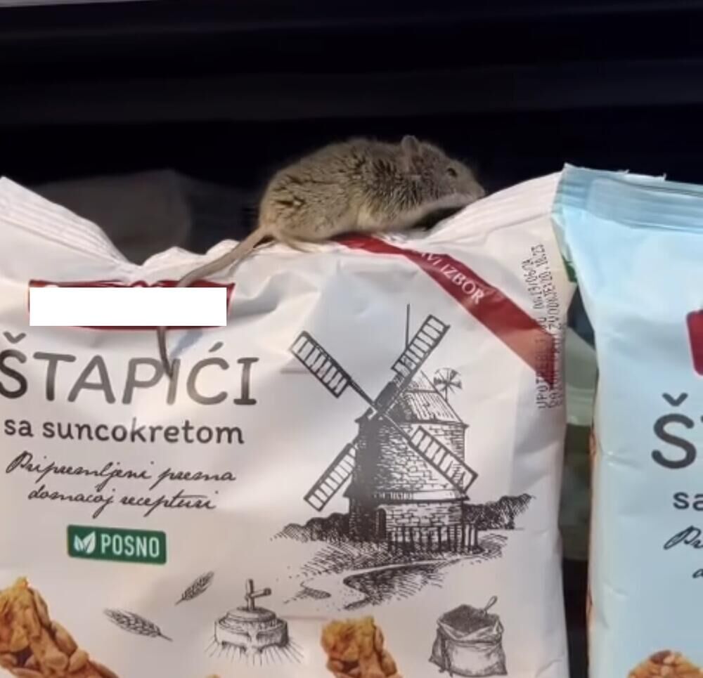 Miš u prodavnici