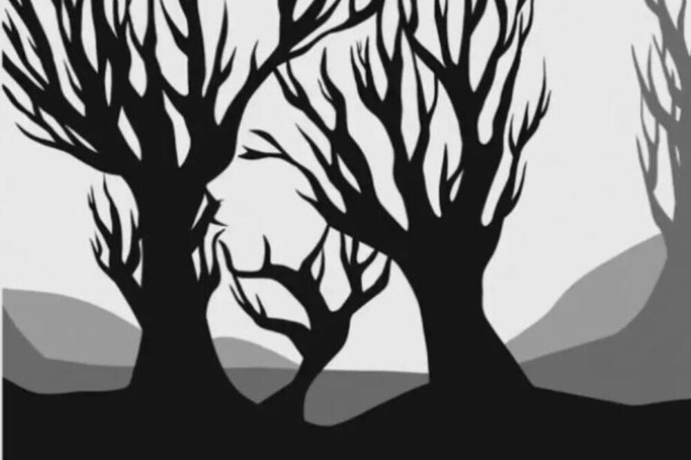 KO NA OVOJ SLICI USPE DA PORNAĐE JOŠ NEŠTO OSIM STABALA, TAJ JE PRAVI GENIJE: Potrudite se, imate 10 SEKUNDI