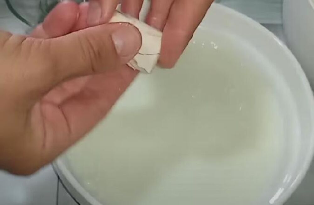 Univerzalno testo, Testo