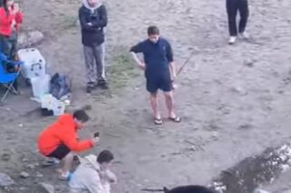 MLADIĆI PRIŠLI MEDVEDU, PRAVILI SELFIJE, A ONDA... Jedan ga je POMAZIO, pa nije ni SANJAO šta će se DESITI (VIDEO)