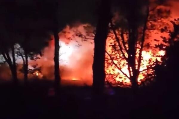 HOROR U ČILEU! VATRA ODNELA NAJMANJE 19 ŽIVOTA: Besne 92 požara u nekoliko gradova, uništeno HILJADU domova