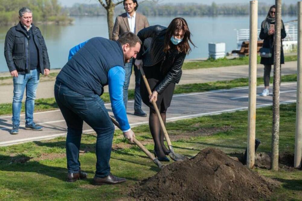 EVO KAKO DA NAM VAZDUH KOJI UDIŠEMO BUDE ČISTIJI! U svemu tome pomaže nam i ova beogradska opština!