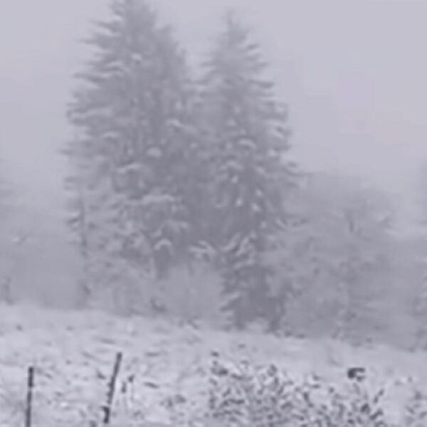 Najviše snega je palo u ovom mestu - čak 33 cm: RHMZ objavio i gde je izmereno -12 stepeni