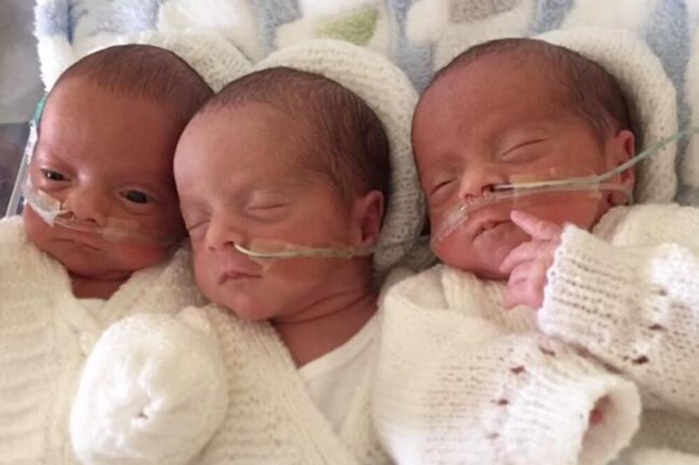 URADILA DNK SVOJIH TROJKI I ZANEMELA OD ŠOKA: Lekari bili ubeđeni da je NEMOGUĆE, ovakvo nešto se dešava 1 u MILION