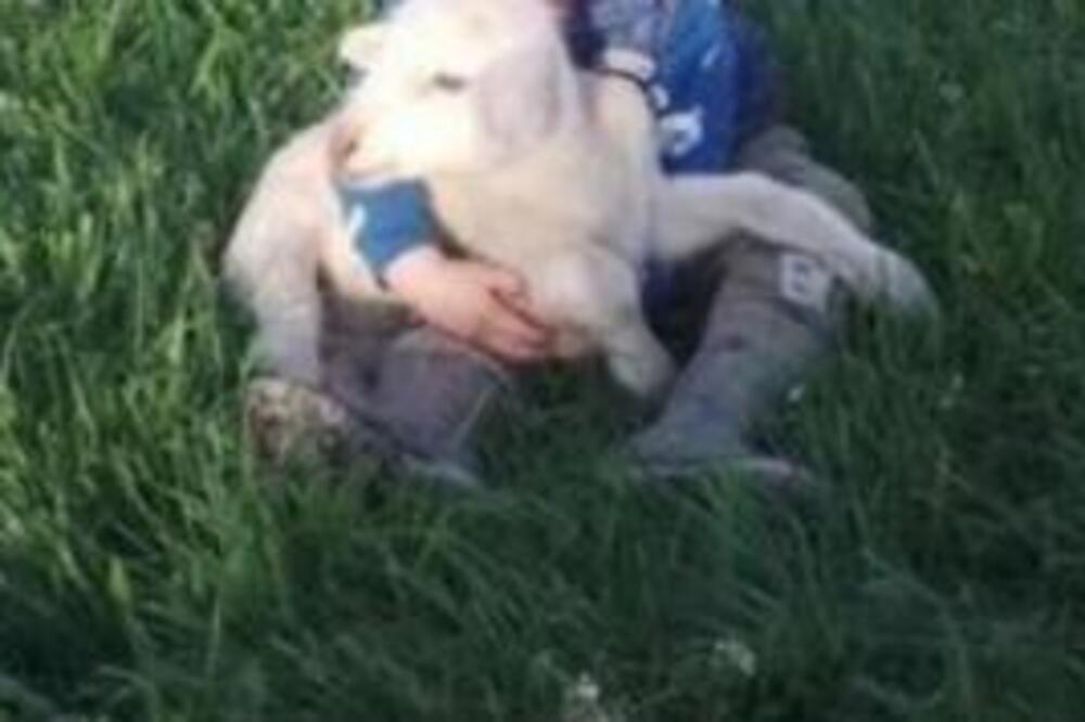 BIZARNA KRAĐA U SRBIJI: Lopov ukrao JAGNJE Leli i njenoj porodici i to PRED SLAVU (FOTO)