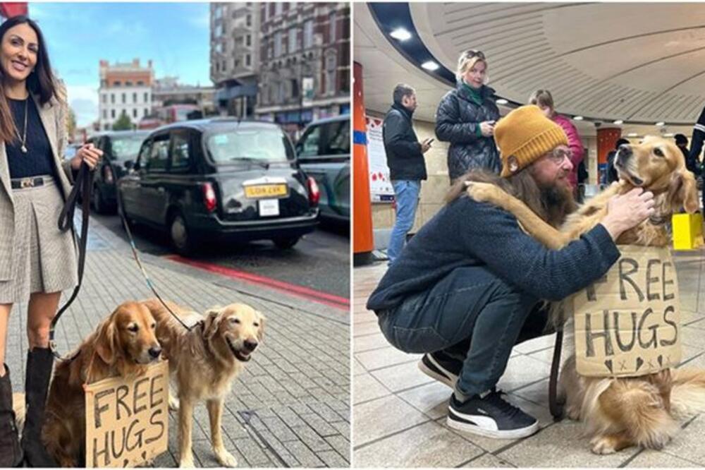 OVO JE NEŠTO NAJLEPŠTE ŠTO ĆETE DANAS VIDETI: Izvela pse da dele "BESPLATNE ZAGRLJAJE", od prizora ćete se ISTOPITI