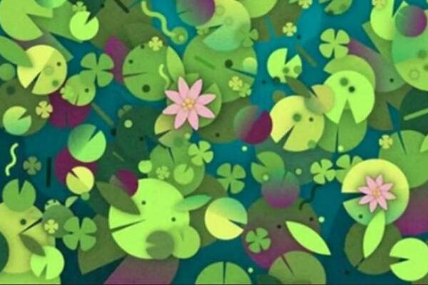 NEMA ŠANSE DA MUŠKARCI REŠE OVU ZAGONETKU: Potpuno je zaludela sve, žene vide iz prvog, ali oni nikako ne mogu